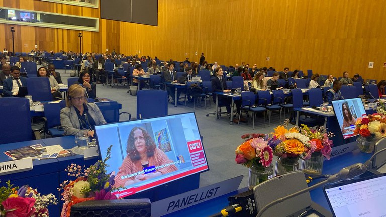 Vanessa_crimes ambientais.jpg