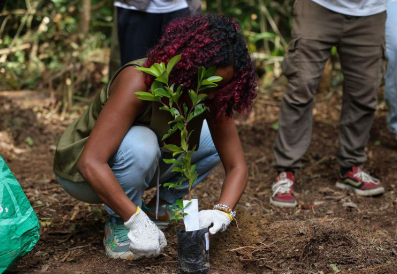 Instituído na COP30, comitê quer ampliar a participação social nas discussões sobre mudança do clima, mirando nos impactos da crise climática sobre o aprofundamento das desigualdades