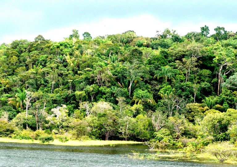 amazonas (1).jpg