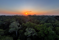 Seminário no Amapá reforça impactos do Bolsa Verde e amplia ações para agricultura familiar e protagonismo feminino na Amazônia