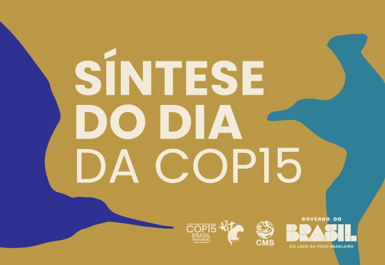 SINTESE DO DIA_Prancheta 1 cópia 4.jpg (1).jpeg