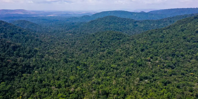 Design sem nome (48).png