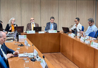 Subex aprova Estratégias Transversais para Ação Climática do Plano Clima