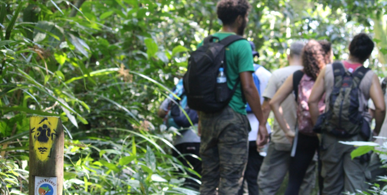 Captura de Tela 2025-05-22 às 20.37.08.png