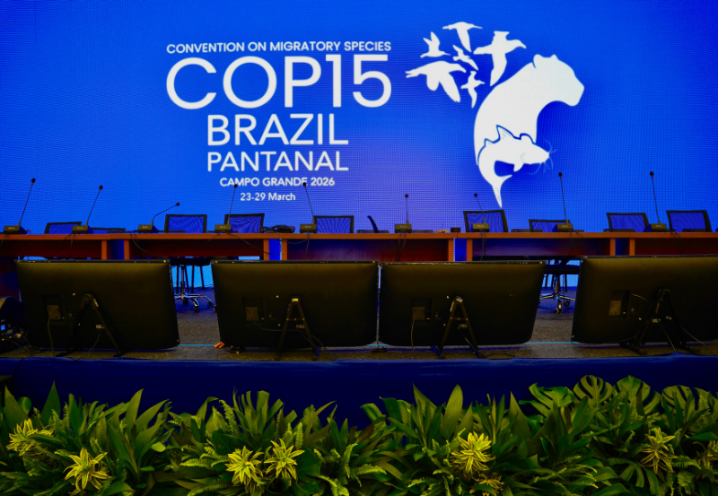 COP15: Confira a programação da Conferência sobre Espécies Migratórias em Campo Grande (MS)