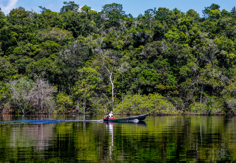 Sessão informativa sobre edital de apoio a iniciativas em territórios da Amazônia Legal ocorre nesta quinta (20)