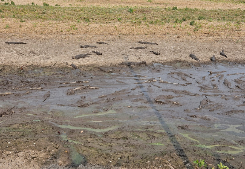 Reunião técnica atualiza previsões climáticas e aponta intensificação do El Niño até dezembro