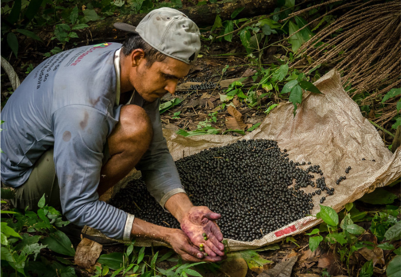 Governo do Brasil abre inscrições de projeto para regularizar áreas e apoiar produção de 30 mil agricultores familiares na Amazônia