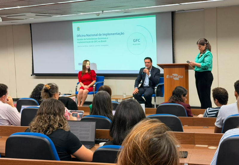 Substâncias químicas e resíduos: oficina técnica identifica prioridades para implementação de marco global