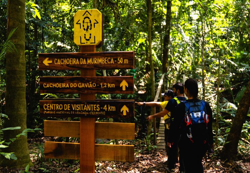 Caminhos da Ibiapaba: trilha de longo curso promove conservação da biodiversidade e dinamiza turismo sustentável no Nordeste