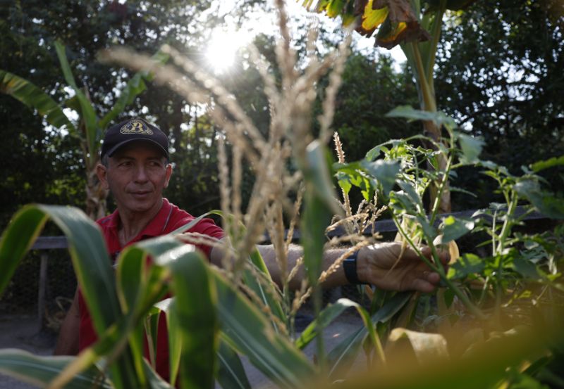 Fundo Amazônia destina R$ 53 milhões para regulação fundiária na Amazônia Legal