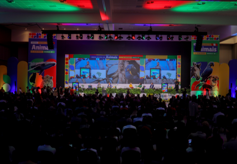 Na Semana Nacional dos Animais, Governo do Brasil lança Política Nacional de Proteção e Manejo de Animais em Desastres