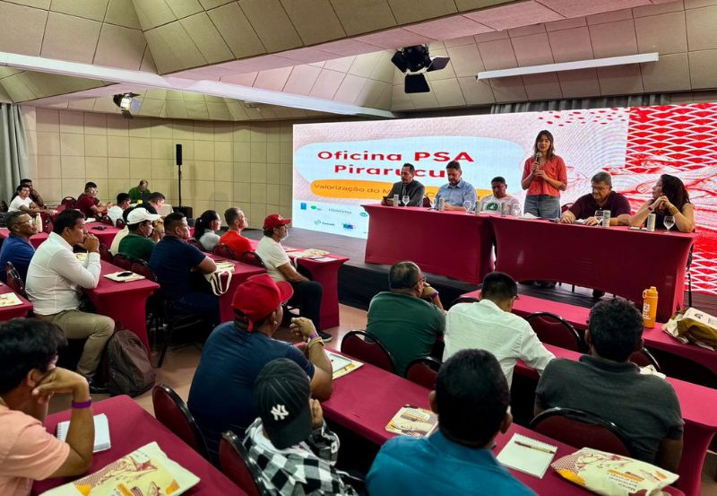 MMA realiza oficina do PSA Pirarucu em Manaus e avança no cadastramento de comunidades amazônicas