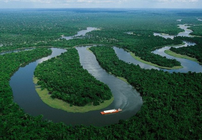 Brasil anuncia 3,4 milhões de hectares em processo de restauração no âmbito do Planaveg durante a COP30