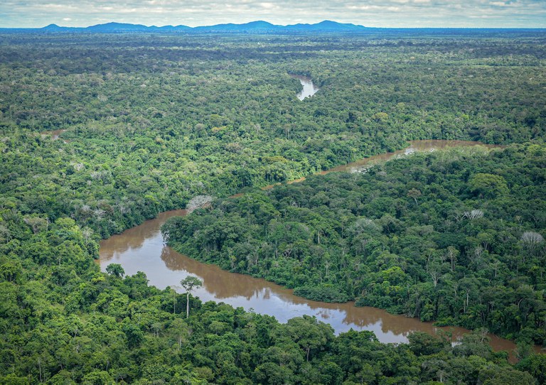 Corte de floresta medido pelo Inpe foi de 9.001 km², o menor desde 2019