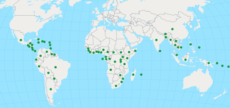 Veja os 74 países detentores de florestas tropicais elegíveis para integrar o fundo.png