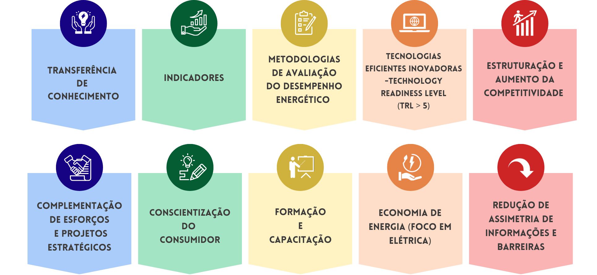 escopo de atuação
