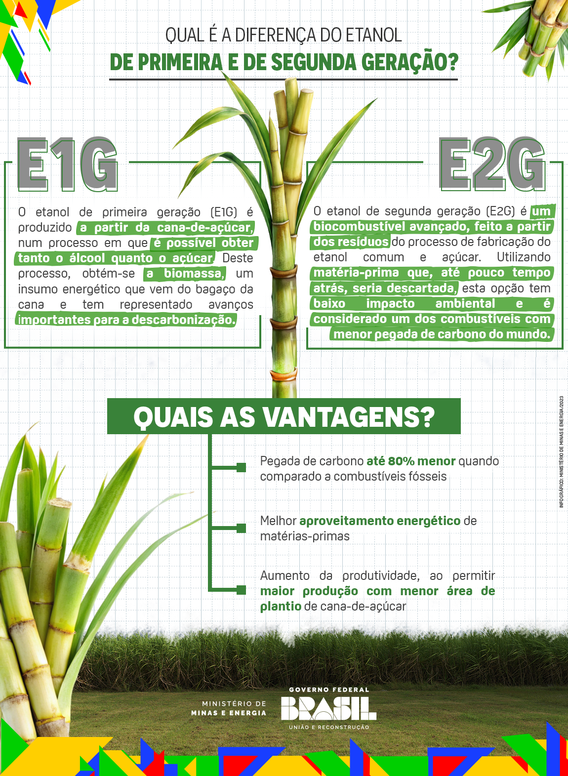 Infográfico