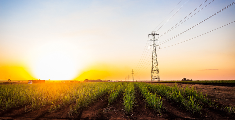 Brasil aumenta exportação de eletricidade e geração por biomassa