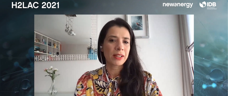 Brasil tem participação de destaque em evento internacional sobre hidrogênio