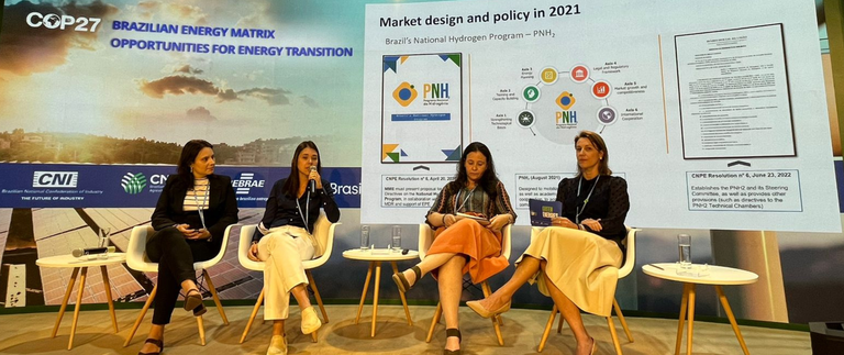 MME na COP 27Roberta Cox do MMA.png