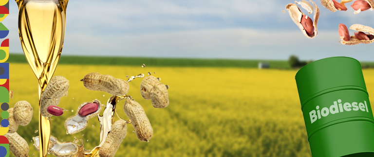 BANNER BIODIESEL PORTAL.png