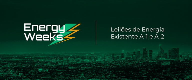 leilão3-12.jpg