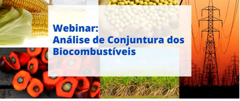 Design sem nome - 2021-08-06T180722.628.png