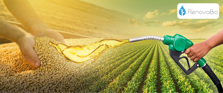 renovabio-12.png