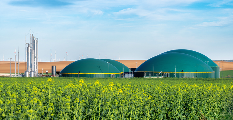 Design sem nome - 2025-05-12T144354.770.png