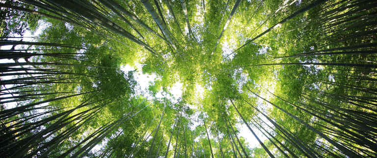 MME abre consulta pública sobre metas de redução de emissões do RenovaBio para o período 2022 - 2031