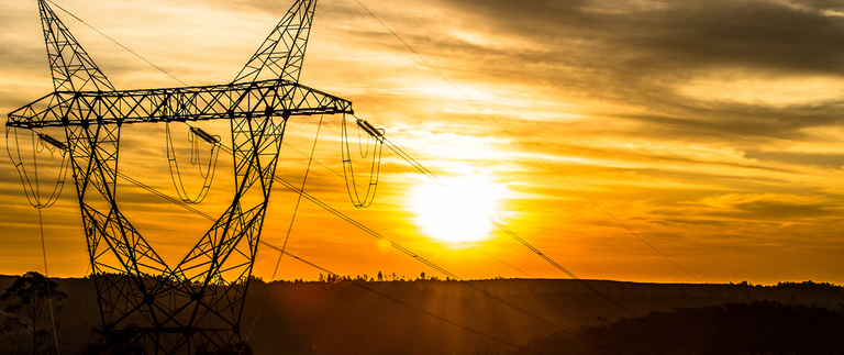 Foto de Daniela Monteiro.png