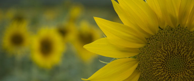 MME alcança diversas realizações no setor de petróleo, gás natural e biocombustíveis em 2020