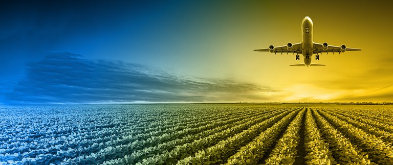 MME apresenta premissas da Política Pública do Combustível de Aviação Sustentável (SAF)