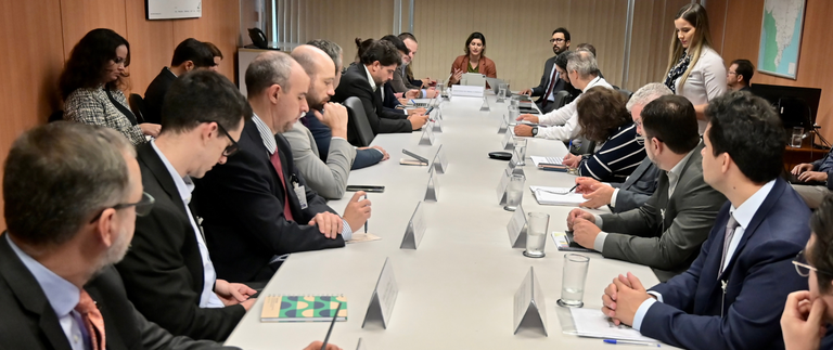 Reunião Extraordinária do Comitê Gestor do Programa Nacional do Hidrogênio - Ricardo Botelho.png