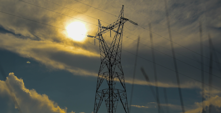 LT RR - Ricardo Botelho.png