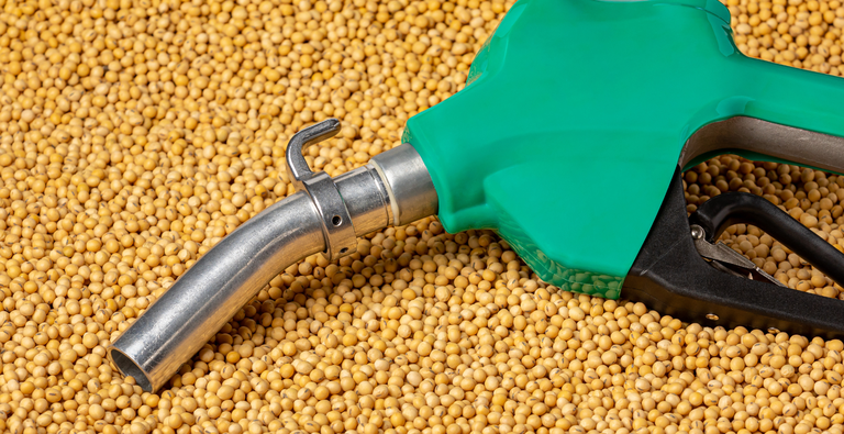 Design sem nome (100).png