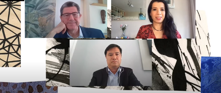MME defende a flexibilidade de cada país durante webinar sobre transição energética