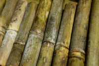 MME divulga balanço do RenovaBio em 2020 e metas de redução de emissões para 2022-2031