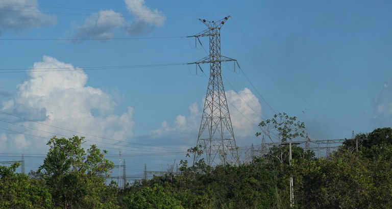20231102_Linhao de Boa Vista_foto Ricardo Botelho.JPG