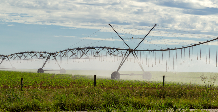 Banner PORTAL (3).png