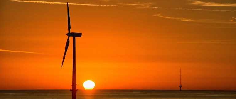 Design sem nome - 2022-05-10T155045.909 (4).png