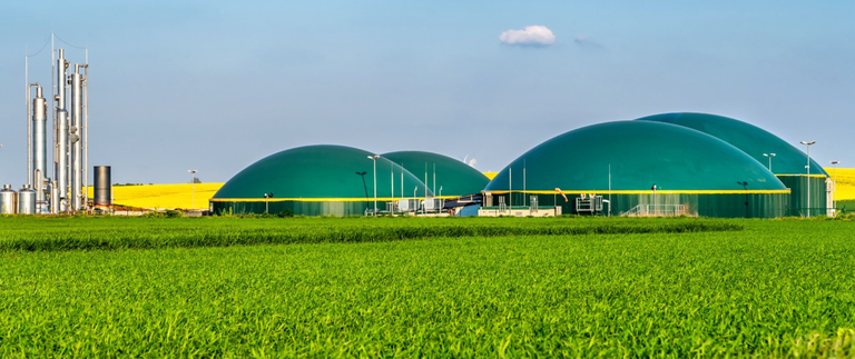 Ralf Geithe _Getty Images.png