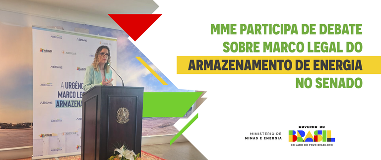 MME participa de debate sobre marco legal do armazenamento de energia no Senado