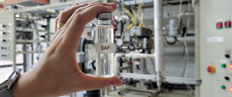 Amostra do SAF em desenvolvimento no ISIER- Renata Moura.png