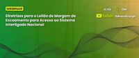 MME realiza webinar para discutir diretrizes de leilão sobre escoamento de energia elétrica