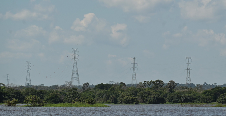 Banner PORTAL (11).png