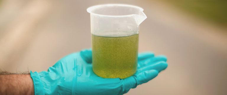 Presidente aprova resolução do CNPE que fixa percentual do biodiesel em 12% para o 81º leilão
