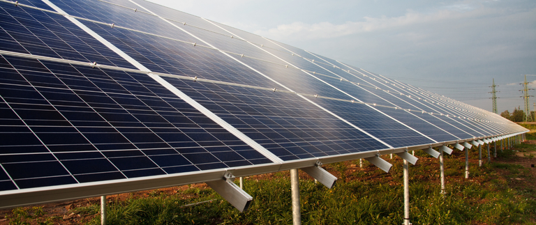 Design sem nome - 2021-11-22T163731.330.png