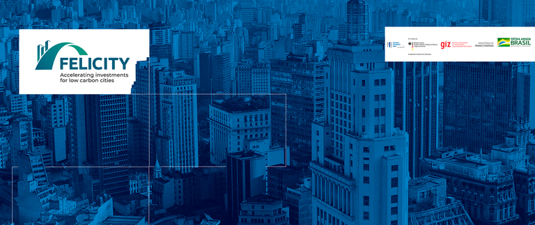 Banner - Felicity (1).png